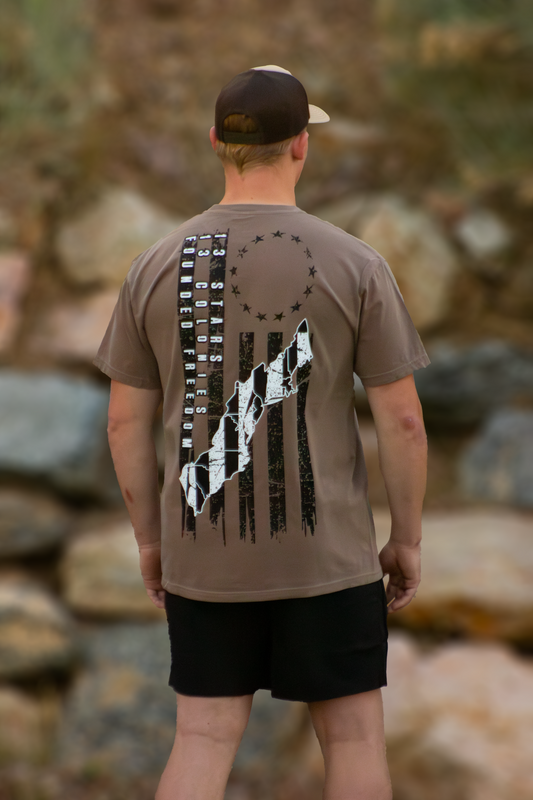 13 Colonies Patriotic Tee / Founded Freedom / Oversized