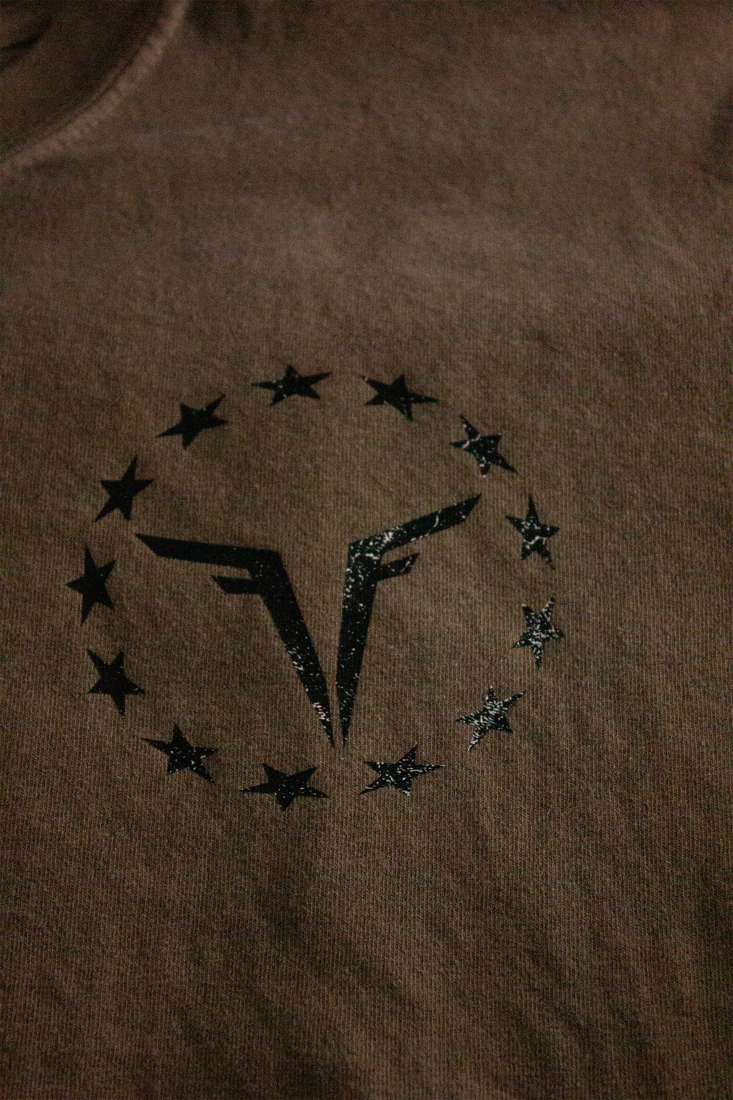 13 Colonies Patriotic Tee / Founded Freedom / Oversized