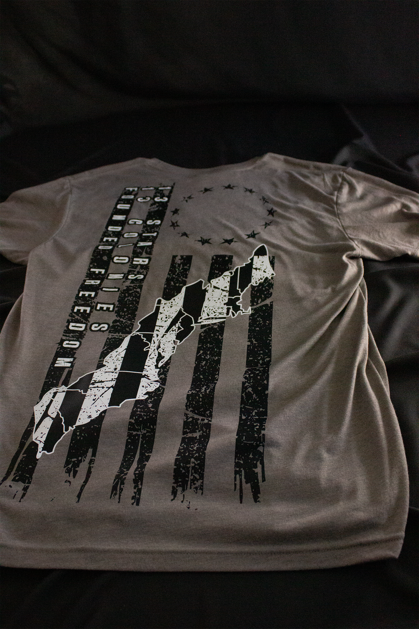 13 colonies Patriotic Tee / Founded Freedom / athletic fit