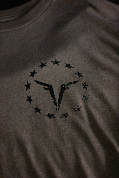 13 colonies Patriotic Tee / Founded Freedom / athletic fit