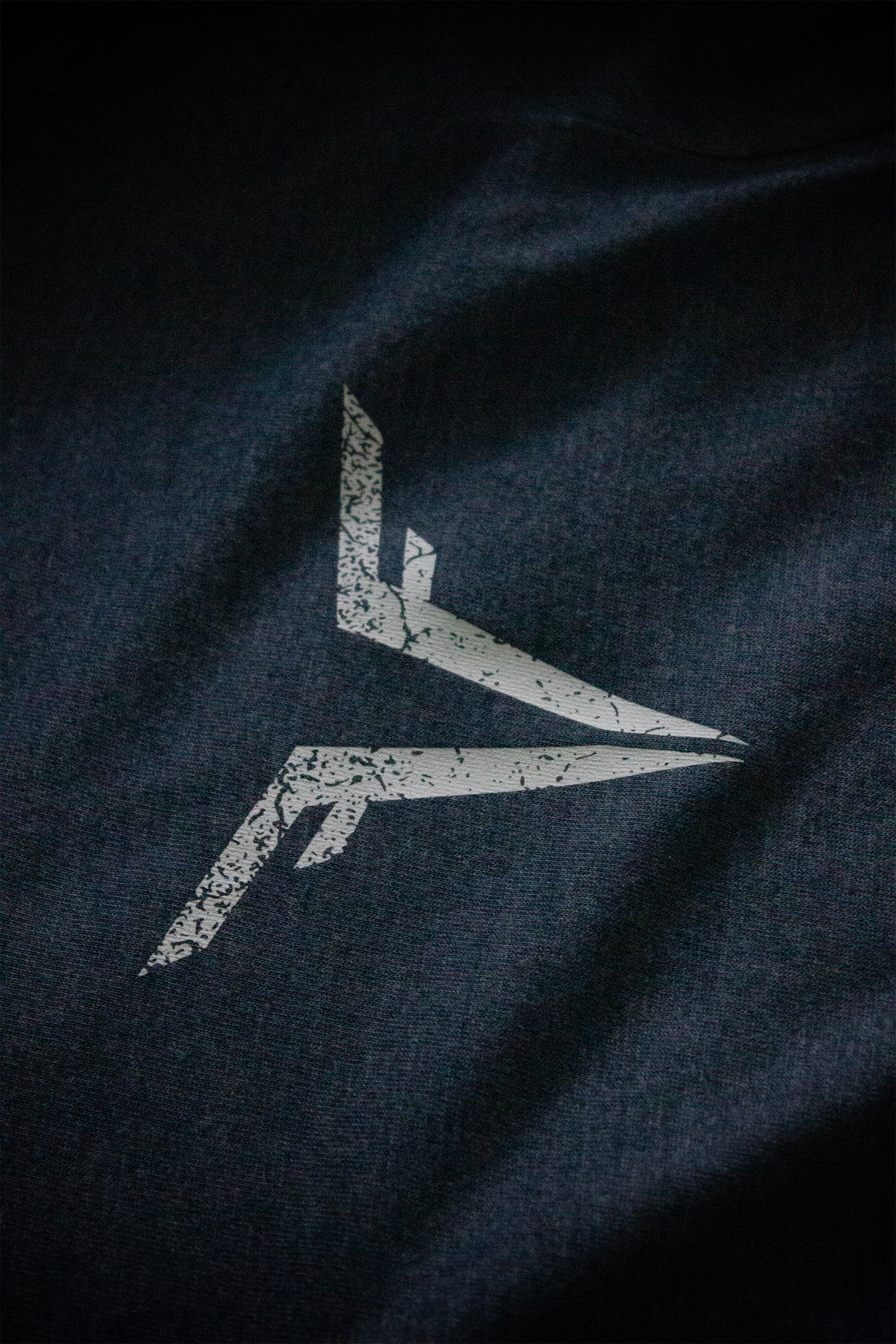 13 Stars American Flag Patriotic long sleeve / Founded Freedom